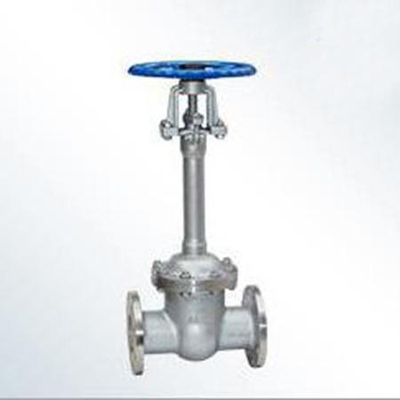 低温闸阀DZ41W-16P